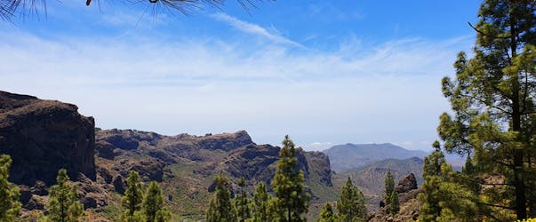 Hiking tour of the Kestrel canyon in Gran Canaria